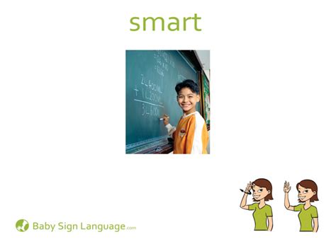 smart cards flashcards|study smarter flashcards.